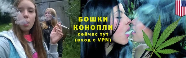 МДПВ Богданович