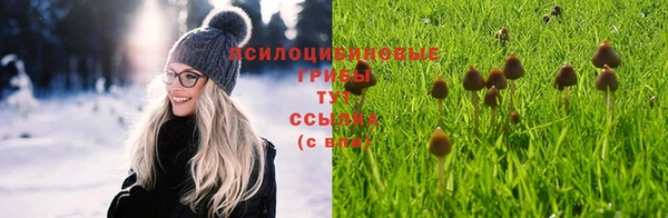 MESCALINE Богородск