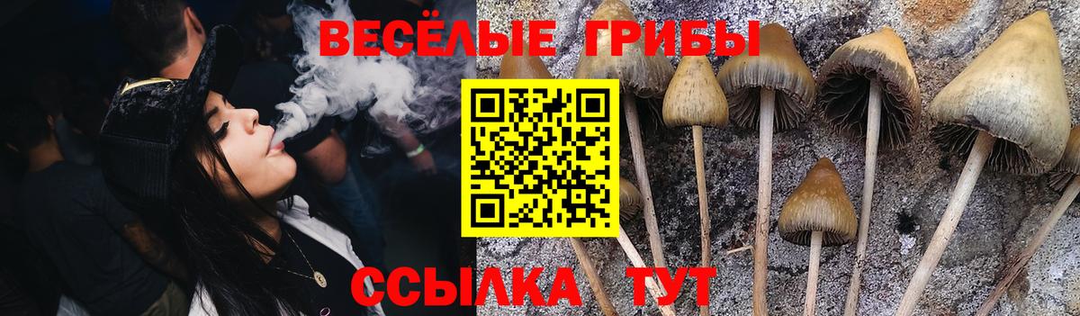 Псилоцибиновые грибы прущие грибы  Бузулук  Псилоцибиновые грибы MAGIC MUSHROOMS 