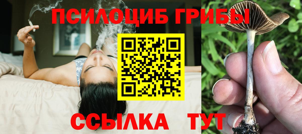 Меф   МЕТ  Бузулук  ГАШИШ  Вход с VPN 